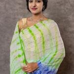 Mint Green & Blue Shaded Lehariya Saree | Sequin Work | Jaipurio Designer Collection